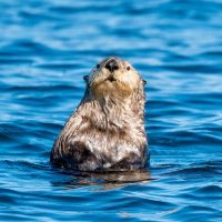 Half-day Tours
