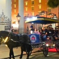 Night Tours
