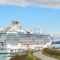 Bus & Minivan Tours