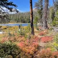 Hiking & Camping