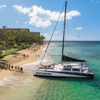 Cruises, Sailing & Water Tours