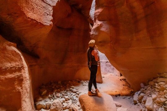 New Year’s Eve in Zion National Park