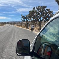 Private Sightseeing Tours