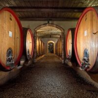 Wine Tasting & Winery Tours