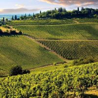 Wine Tasting & Winery Tours