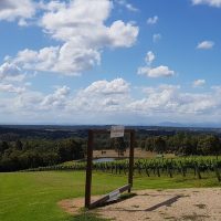 Private & Custom Tours