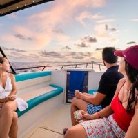 Boat Tours