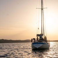Holiday & Seasonal Tours