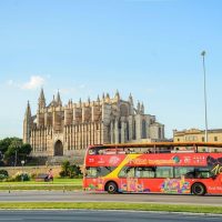 Bus & Minivan Tours