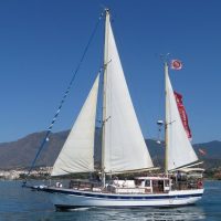 Cruises, Sailing & Water Tours