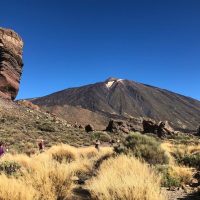 Cultural & Theme Tours
