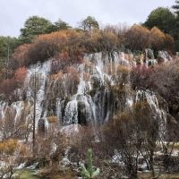 Day Trips & Excursions