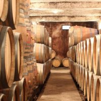 Holiday & Seasonal Tours