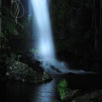 Eco Tours
