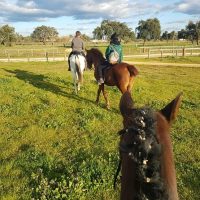 Horseback Riding