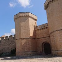 Half-day Tours