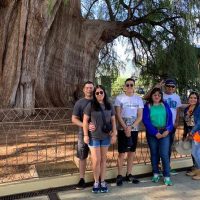 Archaeology Tours