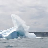 Boat Tours