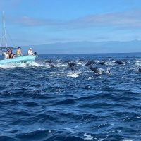 Jet Boats & Speed Boats
