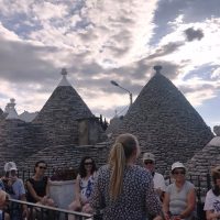 Bus & Minivan Tours