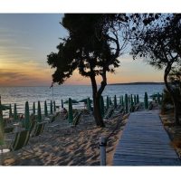 Bus & Minivan Tours