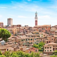 Day Trips & Excursions