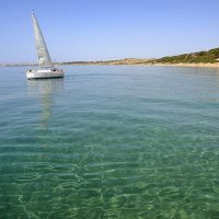 Sailing Trips