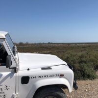 Luxury Tours