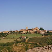 Holiday & Seasonal Tours