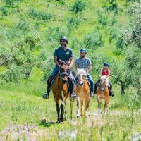 Horseback Riding