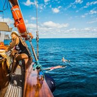 Full-day Tours