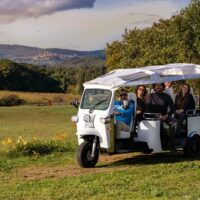 Sustainable Tours