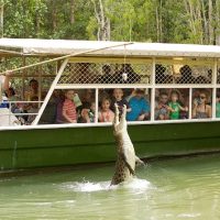 Bus & Minivan Tours