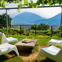Food, Wine & Nightlife