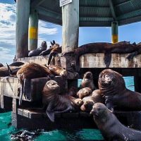 Luxury Tours