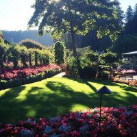 Day Trips & Excursions