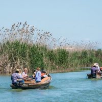 Boat Tours
