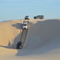 Tours & Sightseeing