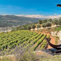 Food, Wine & Nightlife