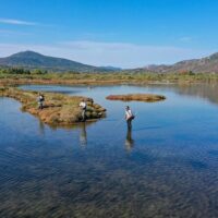 Fishing Charters & Tours