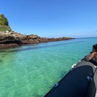 Boat Tours