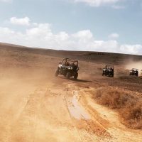 Safaris