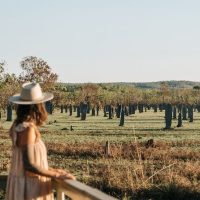 Tours & Sightseeing