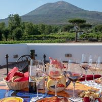 Holiday & Seasonal Tours