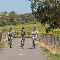 Day Trips & Excursions