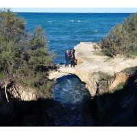 Bus & Minivan Tours