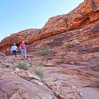 Half-day Tours