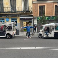 Holiday & Seasonal Tours
