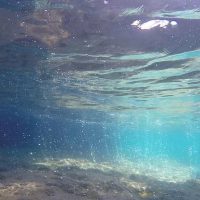 Snorkeling