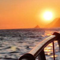 Holiday & Seasonal Tours